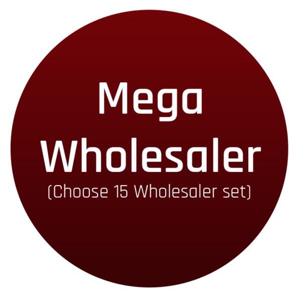 Mega Wholesaler (15 Wholesaler Set)